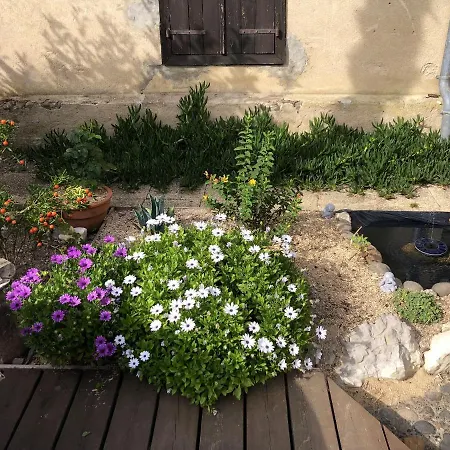 Maison Chaleureuse Avec Piscine Partagee A Gee Riviere 55 M² Gee-Riviere
